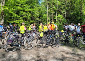 „Jazda z miasta” na Święto Polskiej Niezapominajki