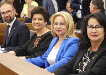 Wszystkie komisje dla Paktu