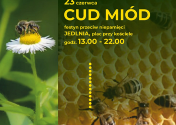 Cud, miód i anioły