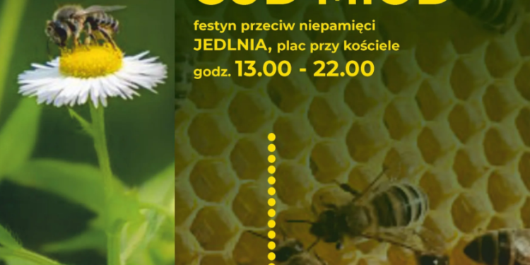 Cud, miód i anioły