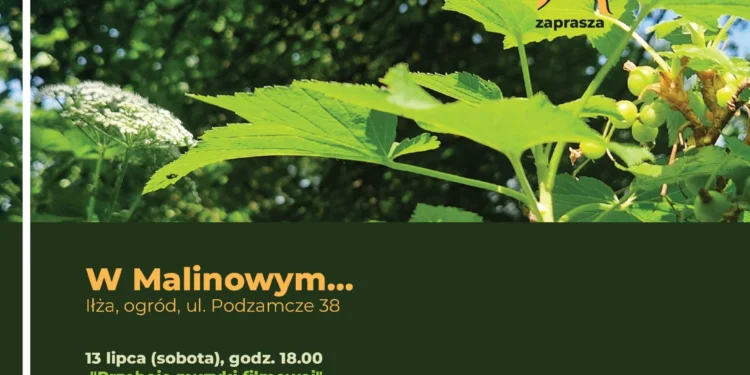 Podwójne wydarzenie w siedzibie PIKu