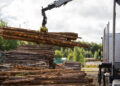 Sądowy finał sprawy wyprowadzenia drewna z miejskich wycinek do prywatnego tartaku