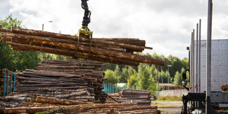 Sądowy finał sprawy wyprowadzenia drewna z miejskich wycinek do prywatnego tartaku