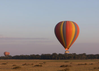 Kowala Challenge: Piknik ku czci lotników Żwirki i Wigury w najbliższą niedzielę