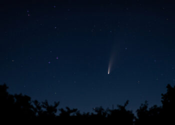 Gwiazdy spadną… nad Radomiem