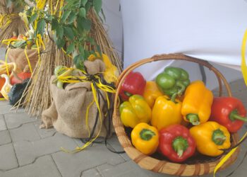 Przytyckie święto papryki za nami