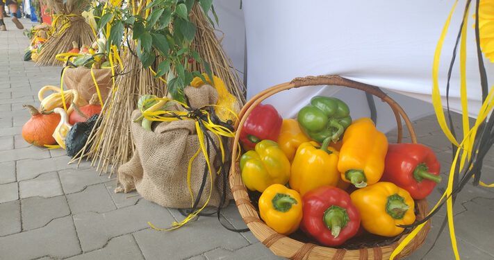 Przytyckie święto papryki za nami