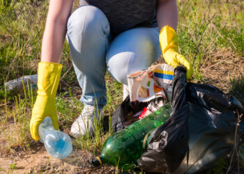 World Cleanup Day w Radomiu – wspólna akcja dla czystszego miasta