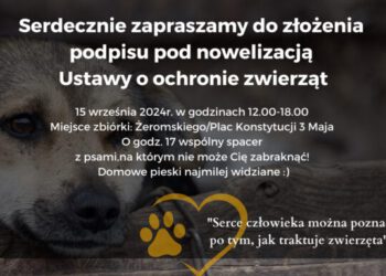 Zbiórka podpisów i spacer z pupilami na rzecz nowelizacji ustawy o ochronie zwierząt
