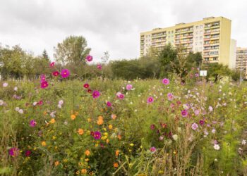 Eko-Park na Prędocinku już jest