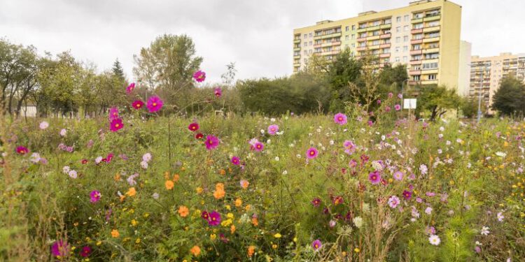 Eko-Park na Prędocinku już jest