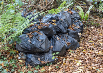 Narasta problem nielegalnych składowisk odpadów
