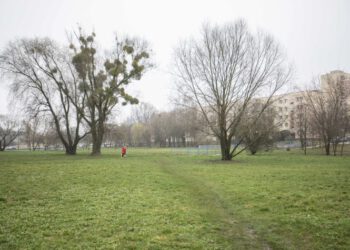 Konsultacje o terenach rekreacyjnych na Ustroniu