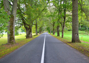 Nowa droga w gminie Wolanów