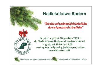 „Stroisz od radomskich leśników do świątecznych stroików”
