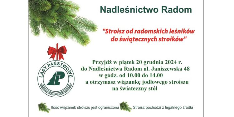 „Stroisz od radomskich leśników do świątecznych stroików”
