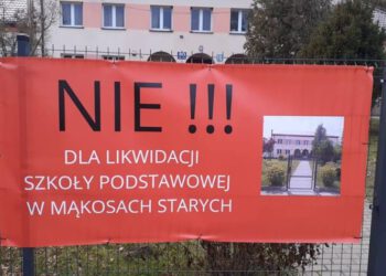 Szkoły do likwidacji?
