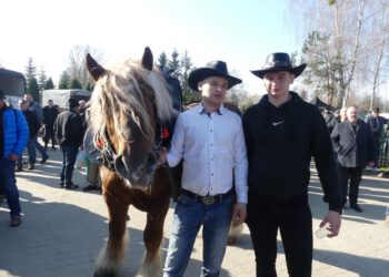 Skaryszewski Jarmark Koński „Wstępy”