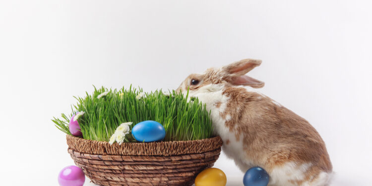 Wielkanoc oczami Radomian