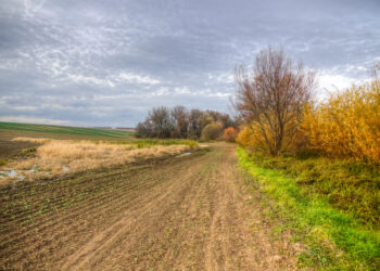 Rozszerzenie granic Radomia – wójt Kowali o reakcji mieszkańców