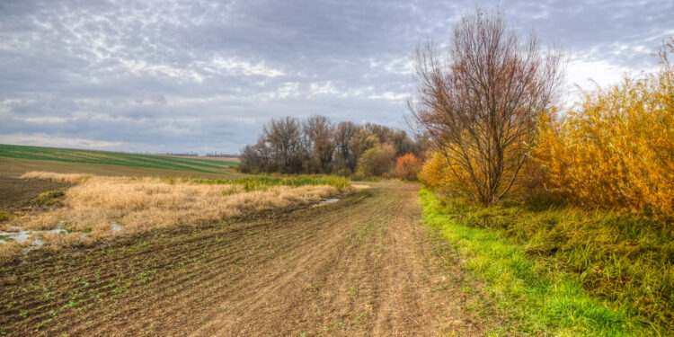Rozszerzenie granic Radomia – wójt Kowali o reakcji mieszkańców