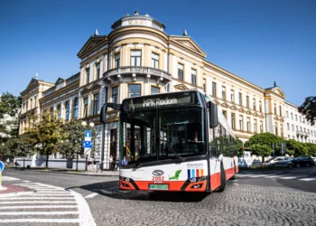 Konkurs na półmetku