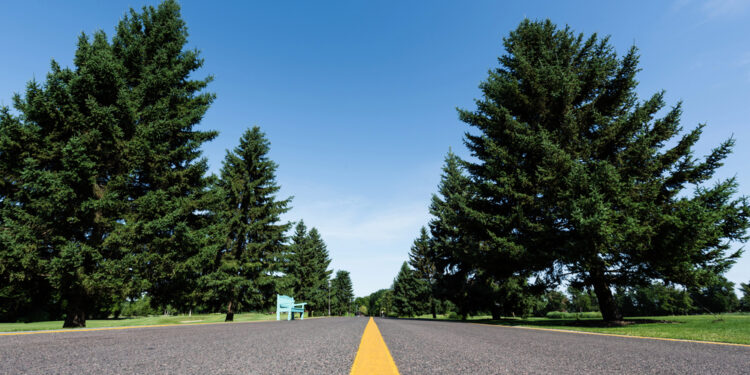 Powiat lipski inwestuje w drogi