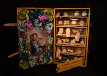 Performatywne oprowadzanie pierwszy raz w Radomiu