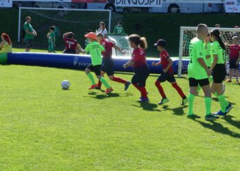 Radom gościł setki młodych piłkarzy podczas Turnieju Futbol Plus Bez Granic