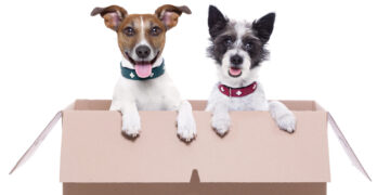 „Zagraj rolę Mikałaja” z Teatrem Powszechnym w Radomiu