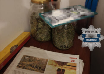 Od kontroli drogowej do aresztu. Policja przejęła marihuanę
