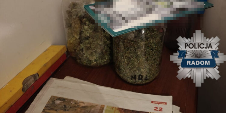 Od kontroli drogowej do aresztu. Policja przejęła marihuanę