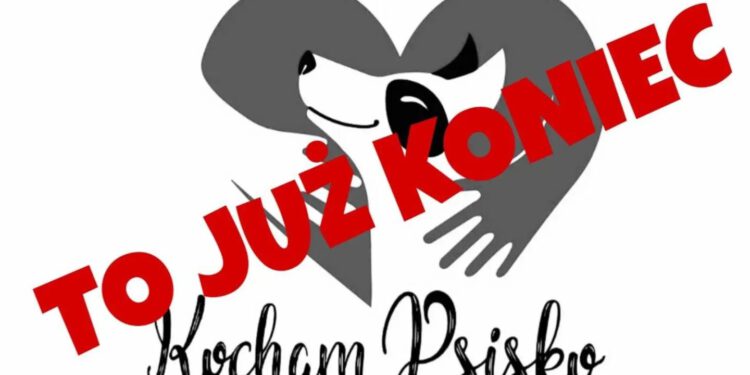 Schronisko zamknięte, psy pod opieką. 270 zwierząt czeka na dom