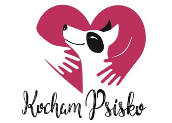 Około 200 psów wciąż czeka na pomoc w schronisku Kocham Psisko