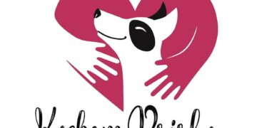 Około 200 psów wciąż czeka na pomoc w schronisku Kocham Psisko