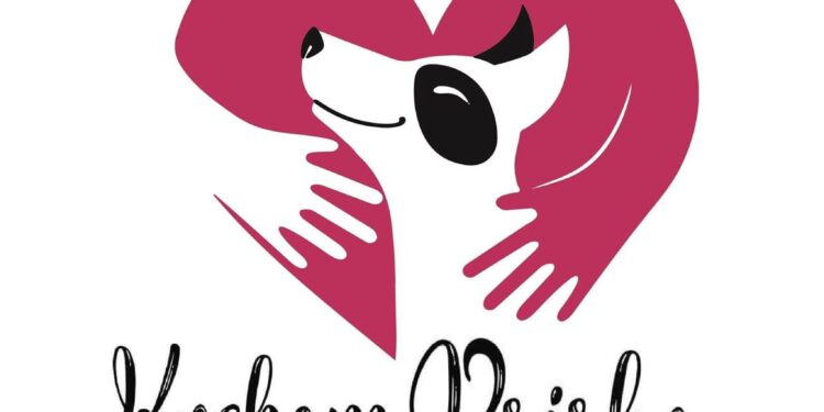 Około 200 psów wciąż czeka na pomoc w schronisku Kocham Psisko