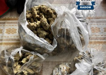 Blisko 5 kilogramów narkotyków zabezpieczonych w Radomiu. Trzy osoby zatrzymane