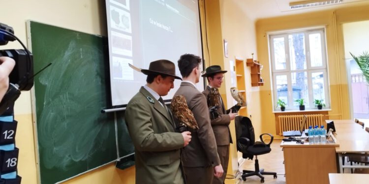 Sowy na zajęciach