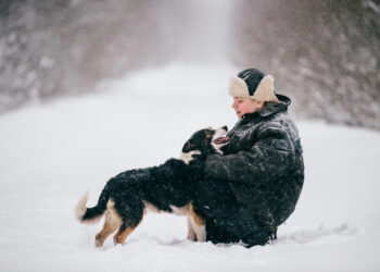 Mniej interwencji wobec zwierząt w Radomiu. Straż Miejska uspokaja, ale apeluje o czujność
