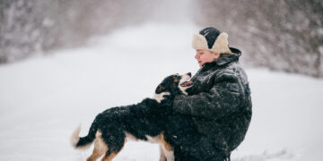 Mniej interwencji wobec zwierząt w Radomiu. Straż Miejska uspokaja, ale apeluje o czujność