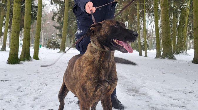 Do służby w Radomiu dołączy „Zebra”