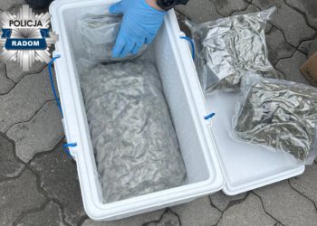 Nawet 10 lat więzienia grozi 20-latkowi z powiatu radomskiego