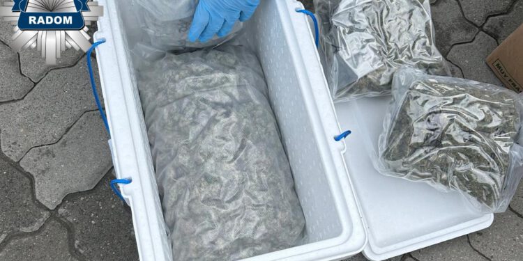 Nawet 10 lat więzienia grozi 20-latkowi z powiatu radomskiego