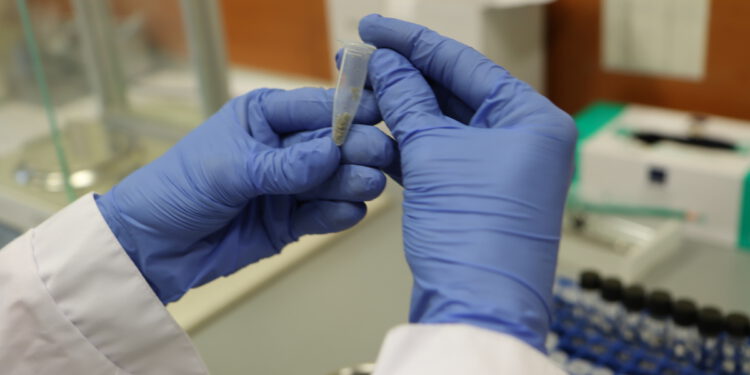 Narkotyki warte 2 miliony złotych zabezpieczone przez funkcjonariuszy