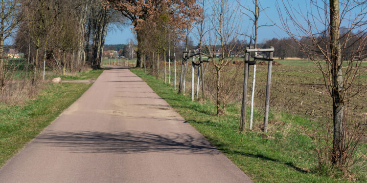 Wolanów dokłada miliony do dróg powiatowych