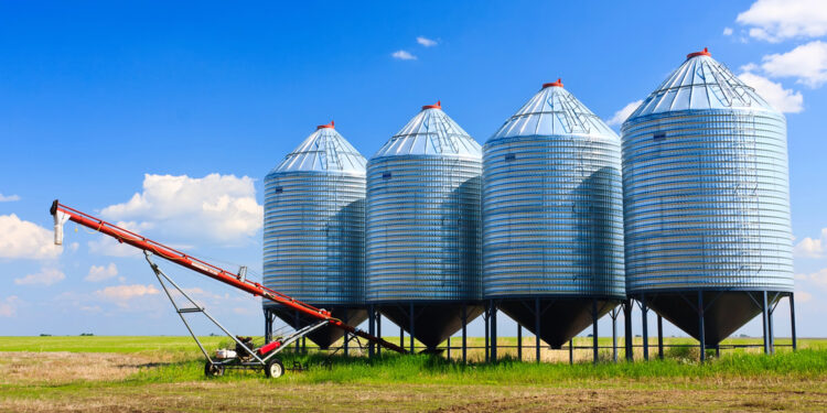 Więcej czasu na inwestycje w silosy. Rolnicy muszą zdążyć do końca kwietnia
