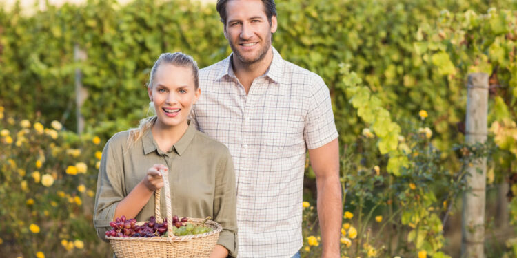 Nawet 300 tysięcy złotych dla młodych rolników