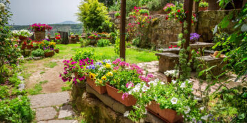 Wystartowała II edycja programu „Zielona Społeczność 2026”