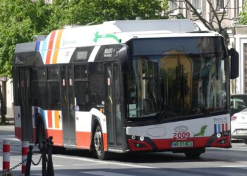 Kto obsłuży siedem linii autobusowych?