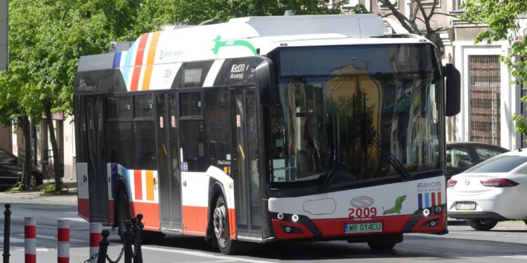 Kto obsłuży siedem linii autobusowych?